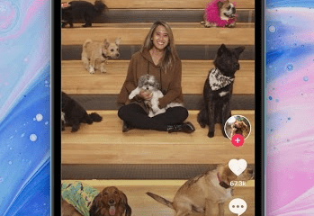 TikTok - Make Your Day Screenshot №3