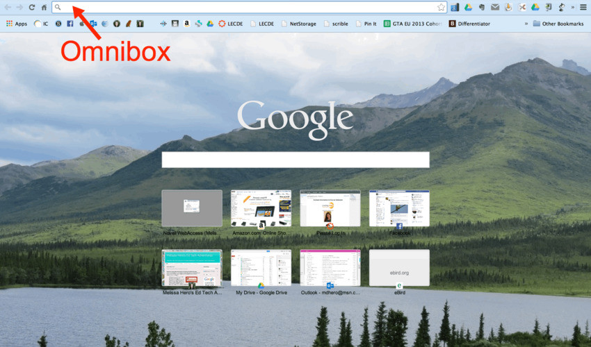 Omnibox in browser